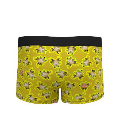 DAMIEN-D-POP-40 - UMBER FROGS